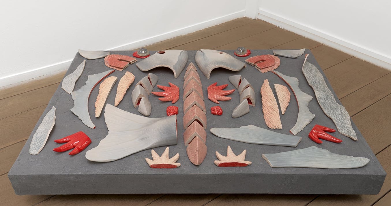 a selection of flayed fish part sculptures on a gray slab