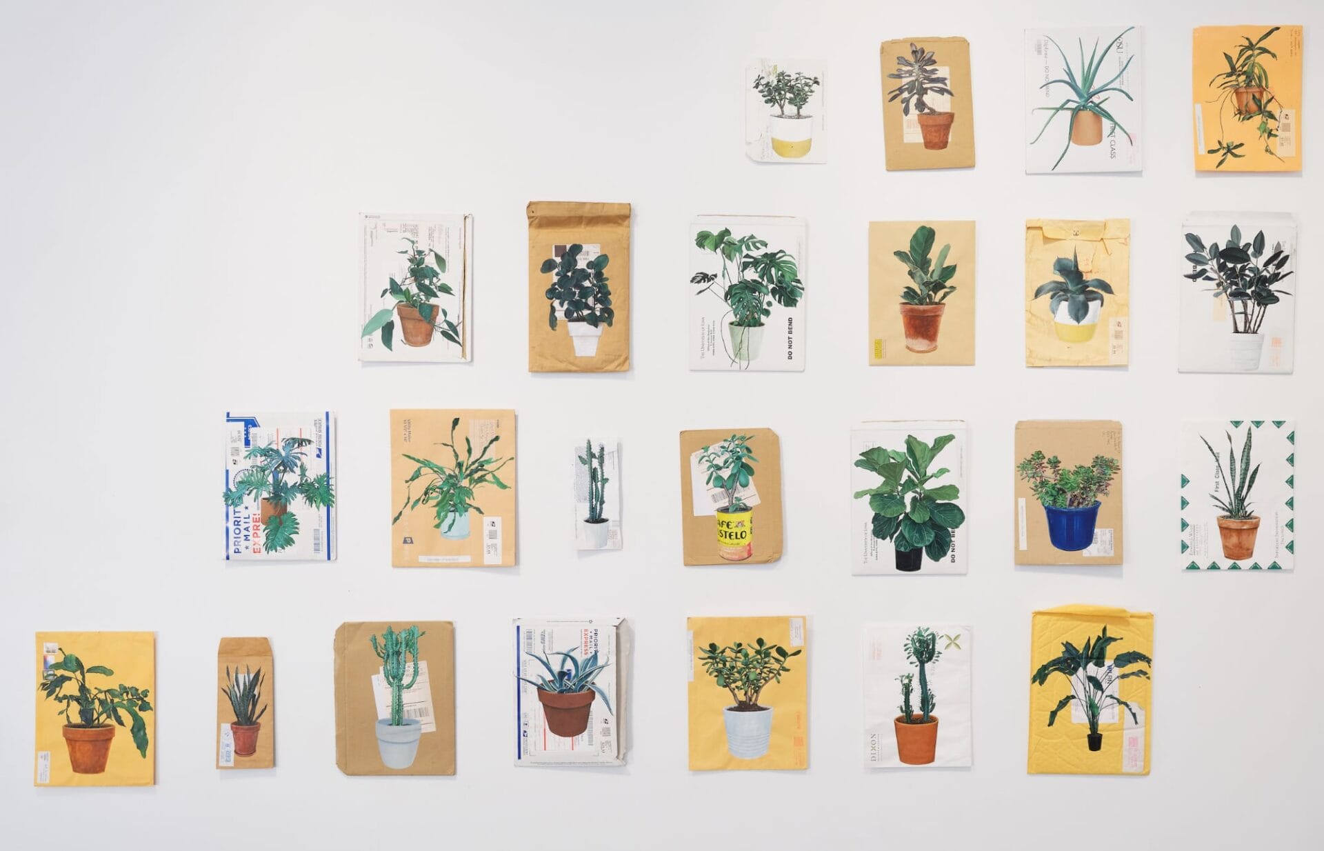 a collection of small paintings of plants in pots on used envelopes. all are on a white gallery wall