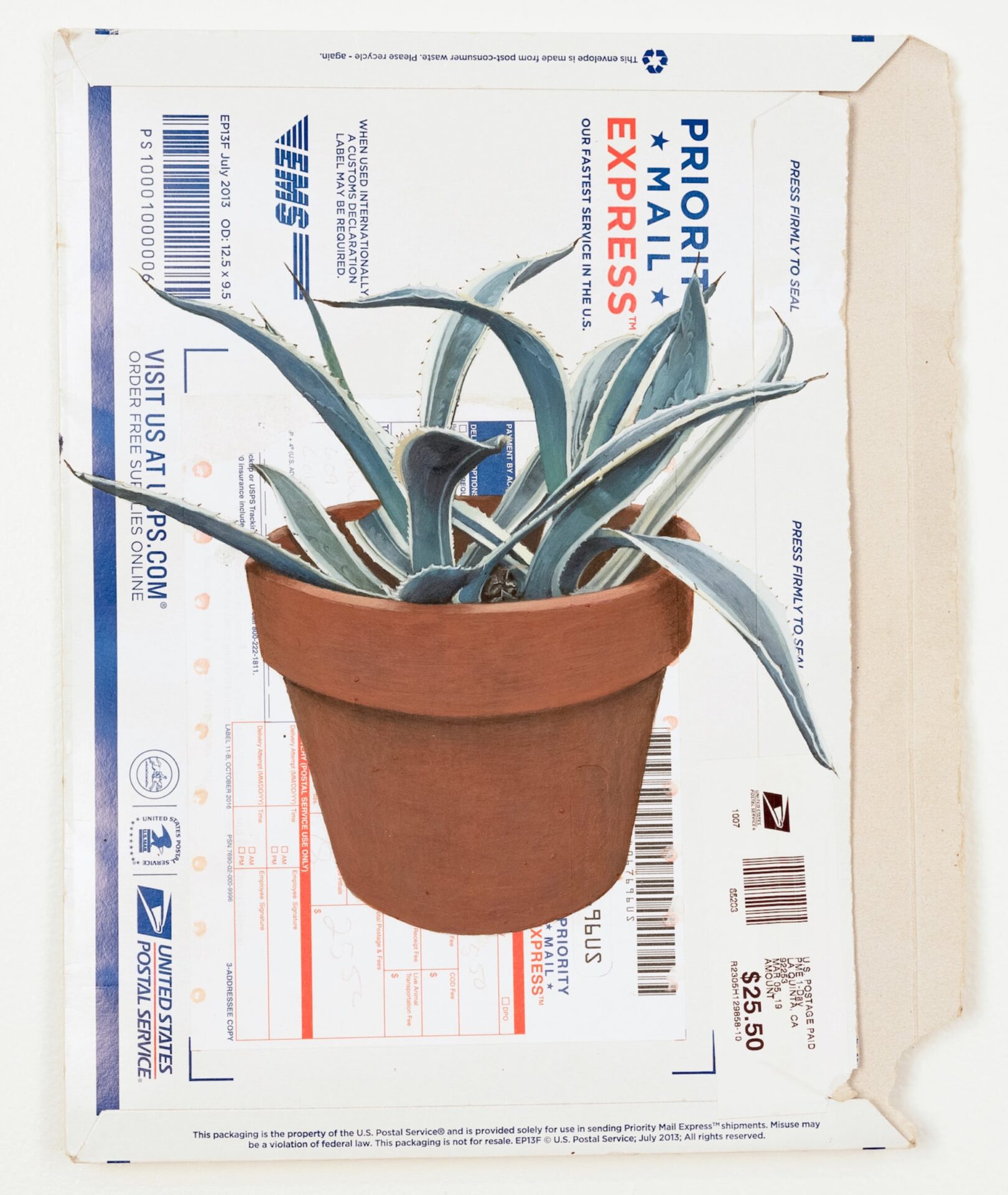 a USPS mailer with a plant in a terracotta pot