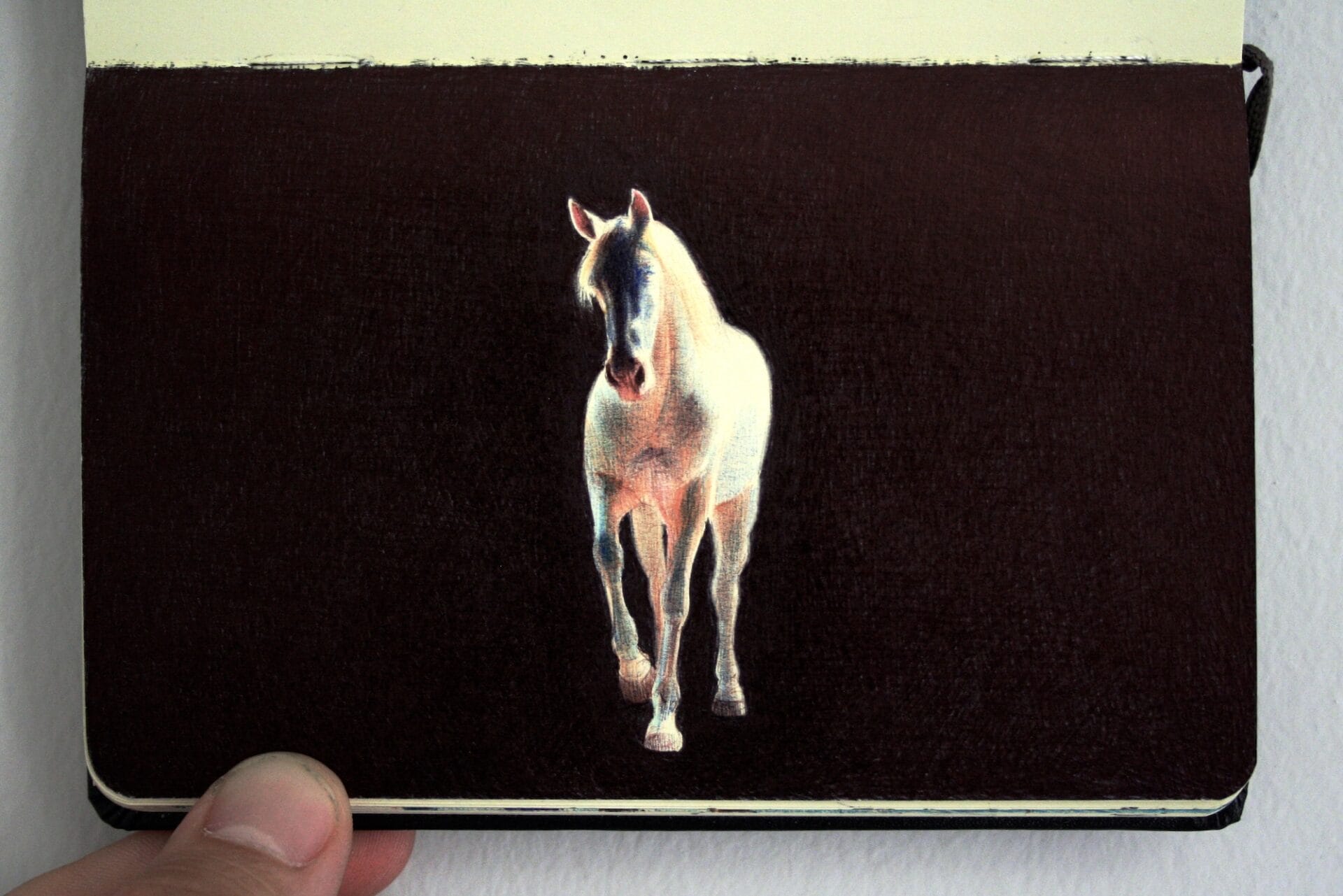 a ballpoint pen drawing of a ghostly white horse on a black background in a small sketchbook