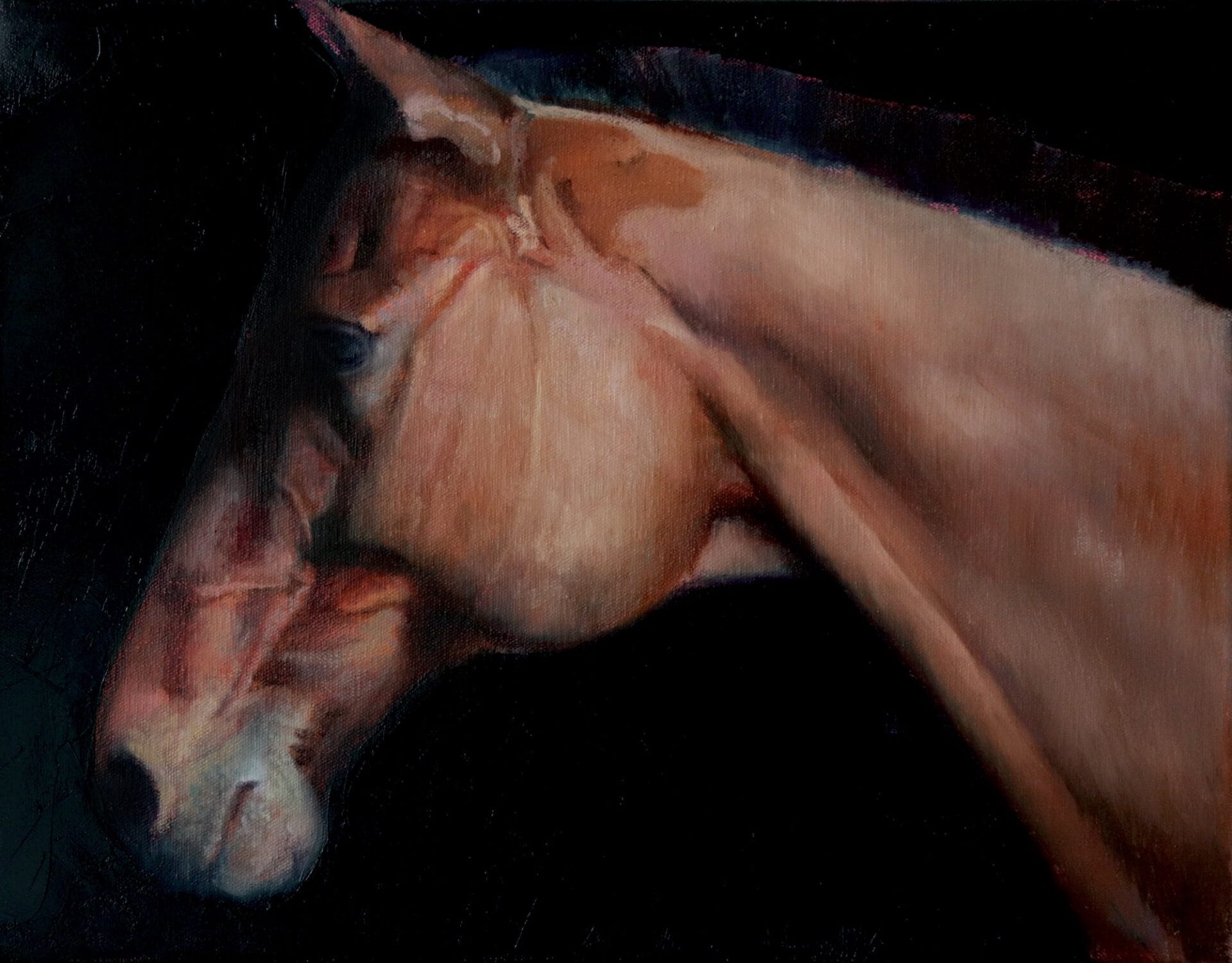 a realistic oil painting of a horse's head in profile