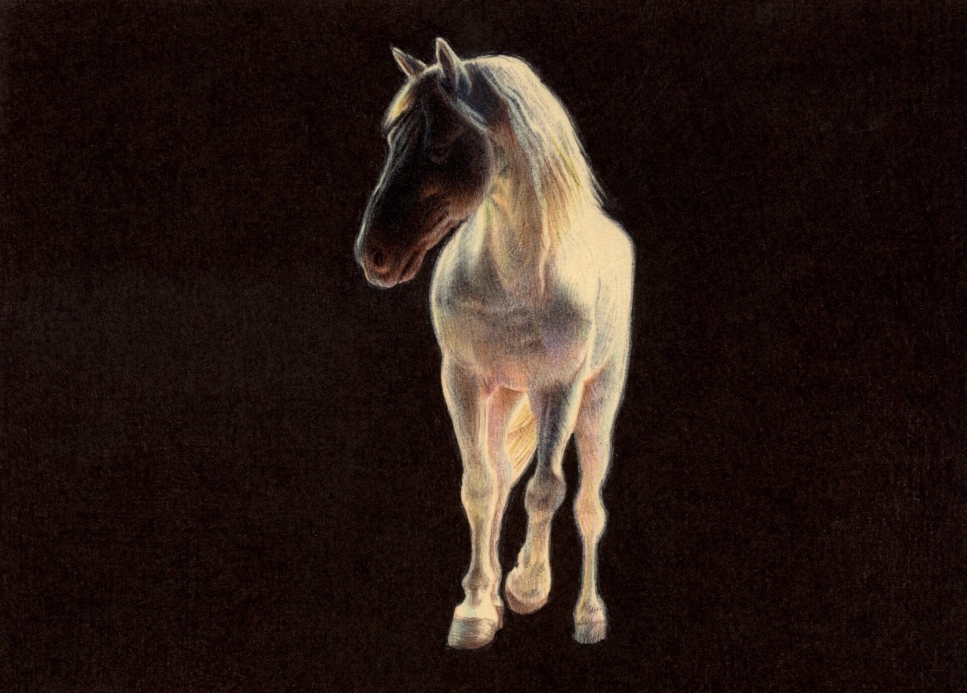 a ballpoint pen drawing of a ghostly white horse on a black background