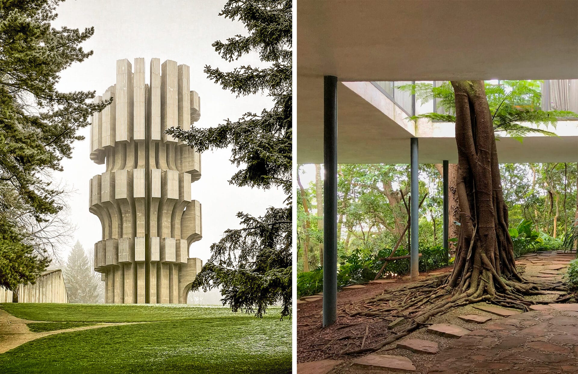 a side-by-side image showing brutalist architecture and greenery, with the image on the left of a concrete tower in a green estate, and the image on the right showing a tree growing in an atrium