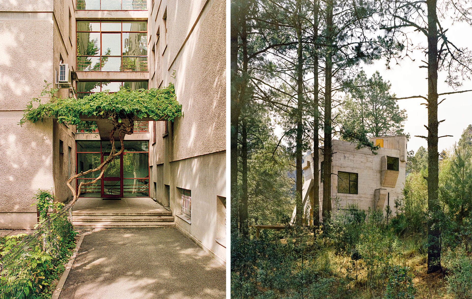 a side-by-side image of two examples of brutalist architecture paired with greenery, with the left image being an entrance with a large green vine over it, and the image on the right being a small concrete cabin in the woods