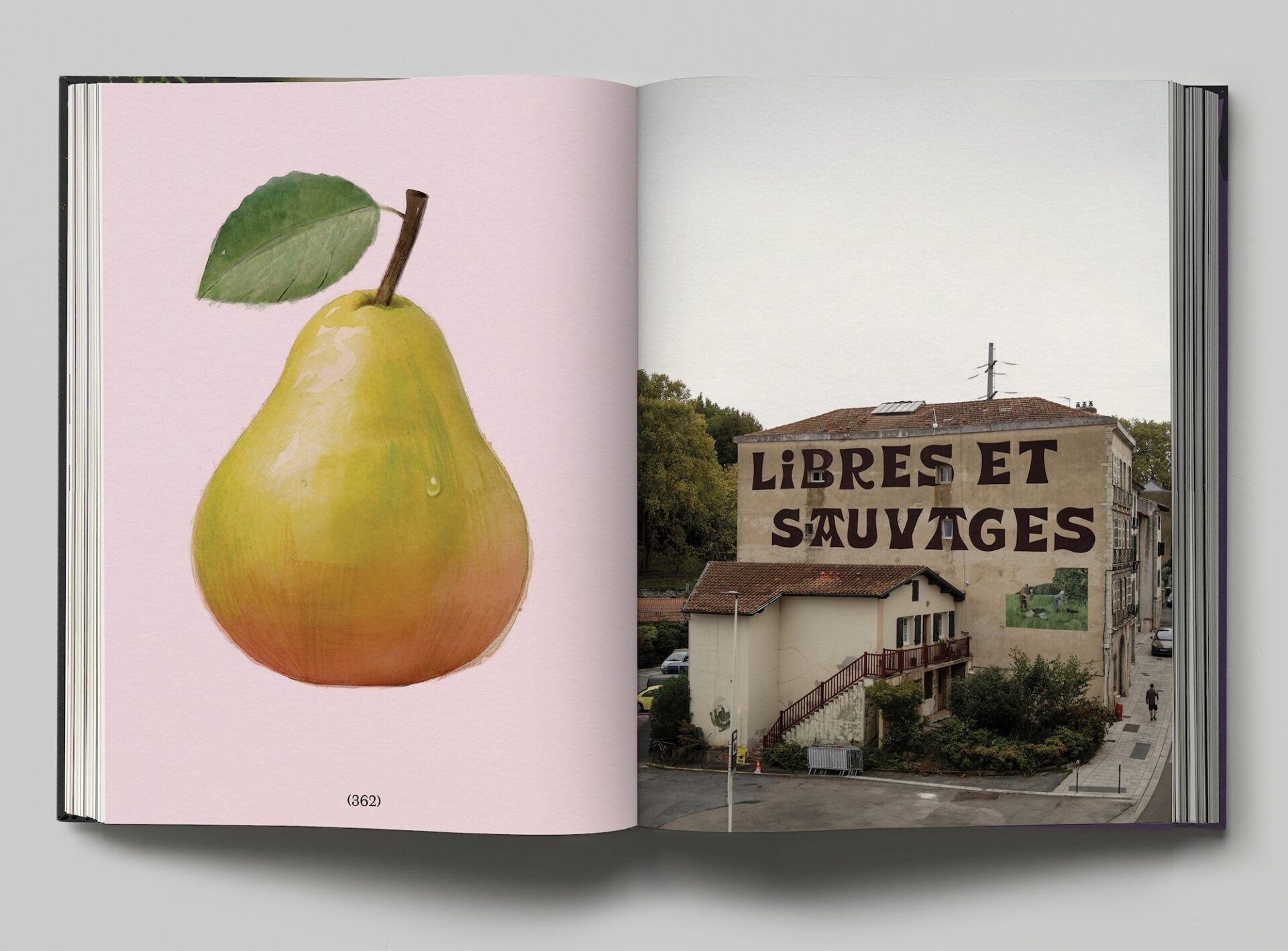 a spread from Escif's forthcoming book, with a painting of a pear on the left and a photograph of a building on the right with a painted sign reading "libres et sauvages"