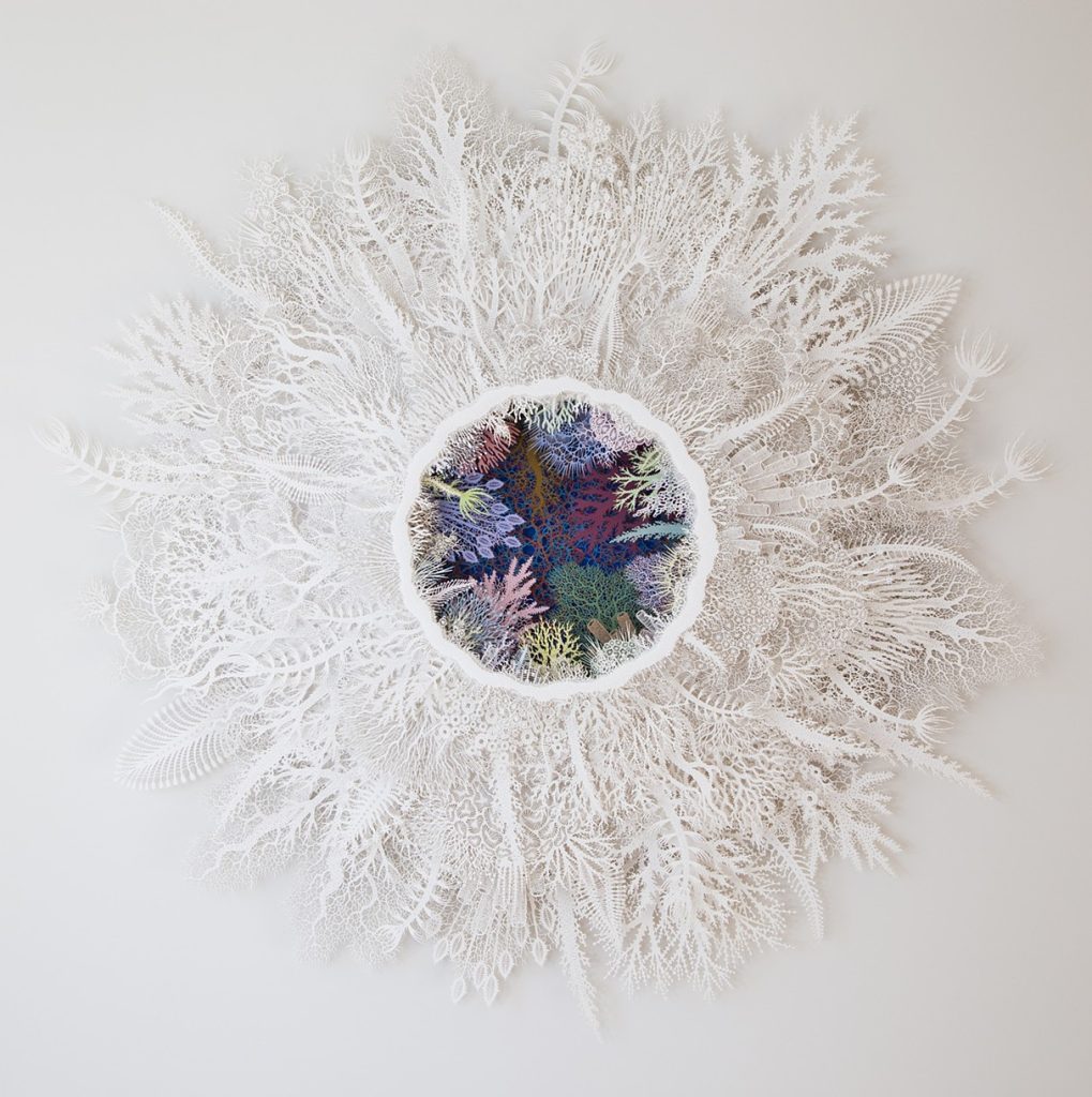 An interview with Rogan Brown on transcribing nature’s essence into intricate paper sculptures