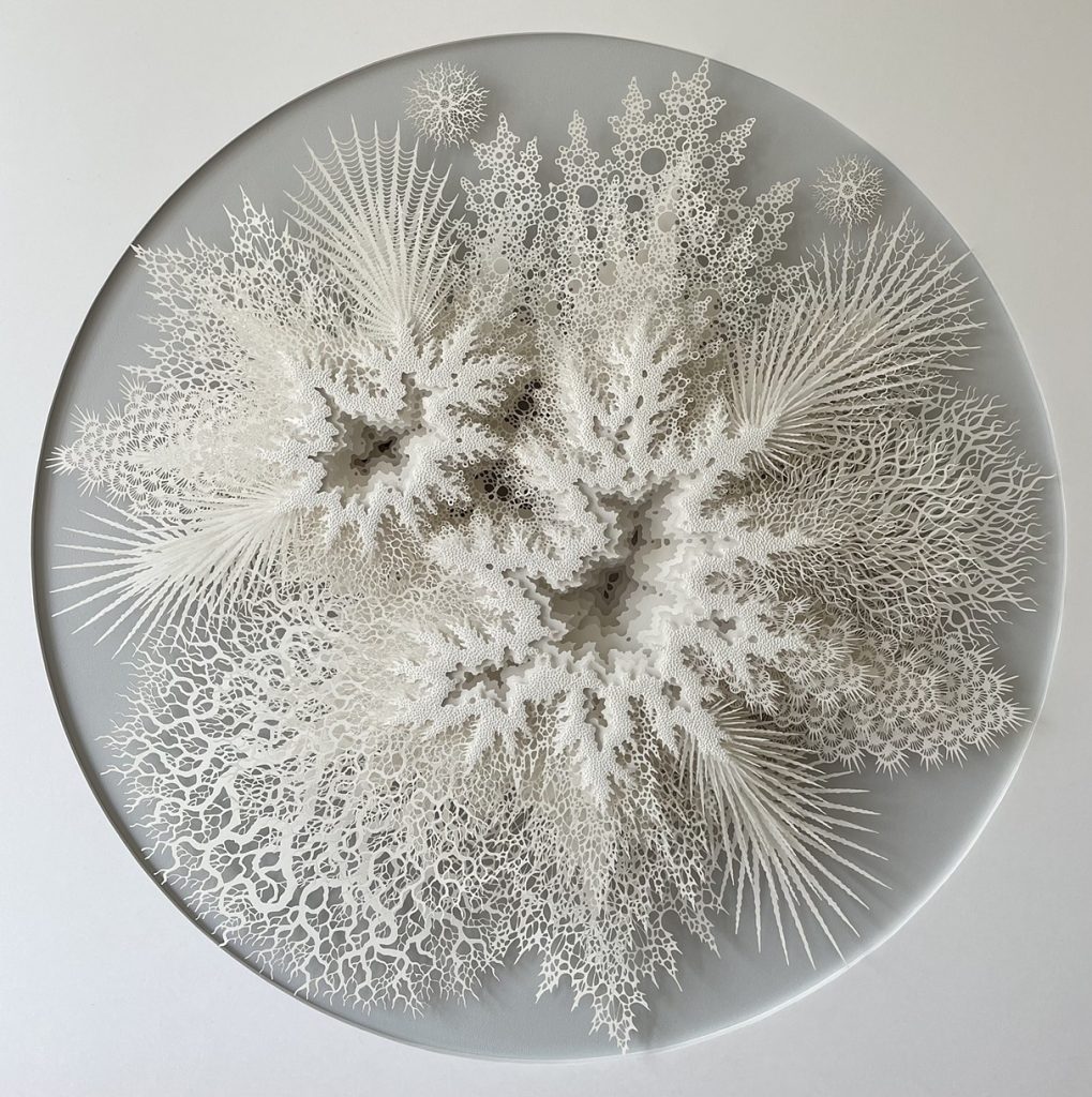 An interview with Rogan Brown on transcribing nature’s essence into intricate paper sculptures