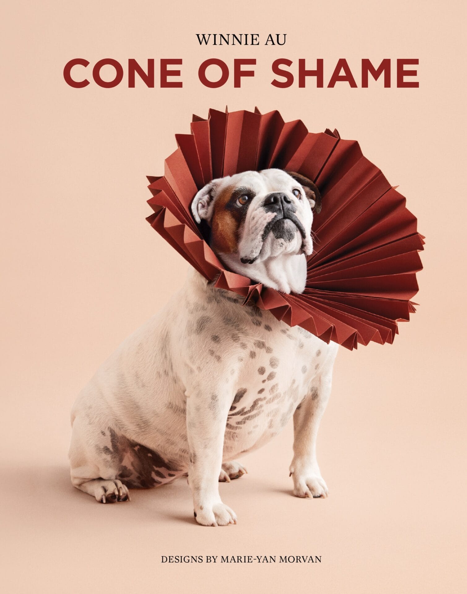 the book cover for cone of shame