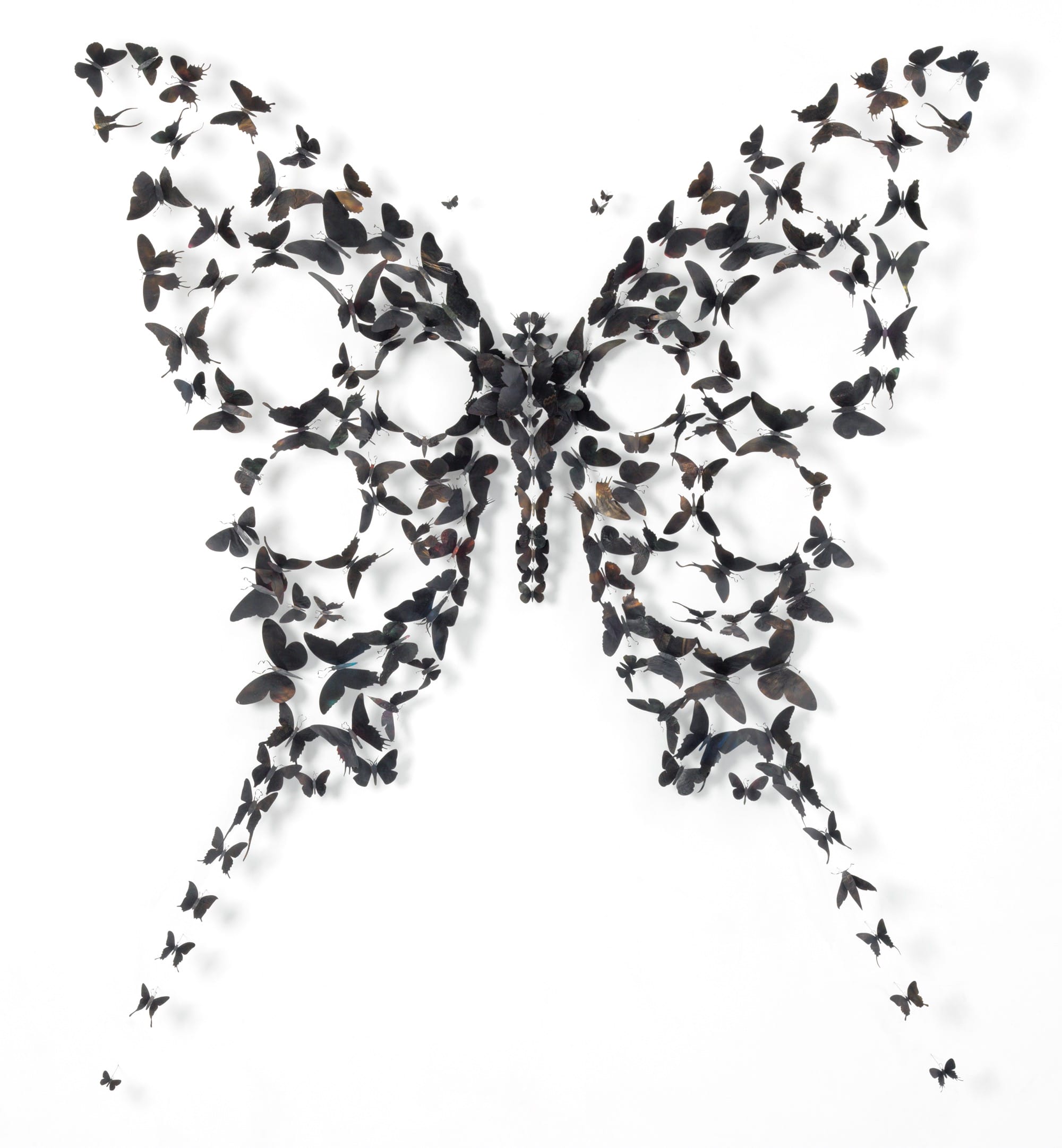a wall installation of numerous black butterflies made from repurposed aluminum, formed into the overall shape of a larger butterfly